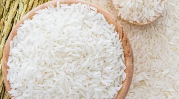 تحديثات الأسعار.. تراجع مفاجئ في قيمة طن الأرز داخل الأسواق المصرية اليوم